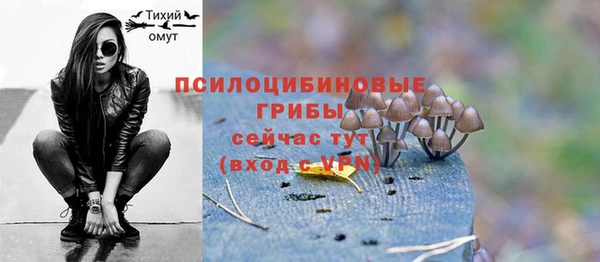 соль курить ск Каменка