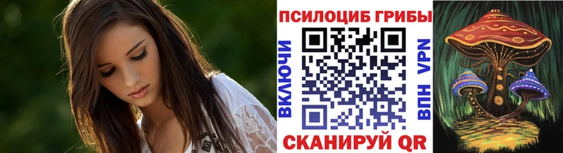 Купить  Гагарин  Псилоцибиновые грибы Psilocybe 