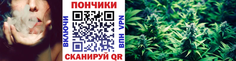 Купить где  Гагарин  Бошки марихуана сатива 